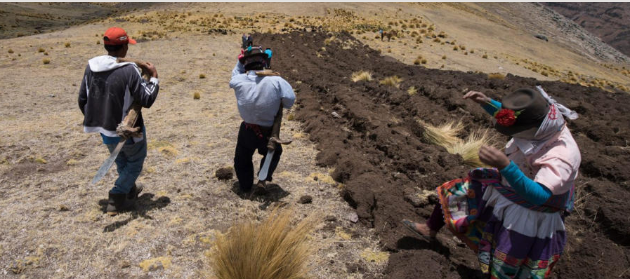 Preparación de la tierra