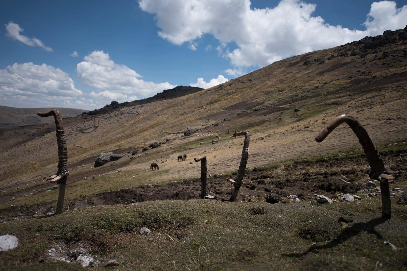 Preparación del Terreno